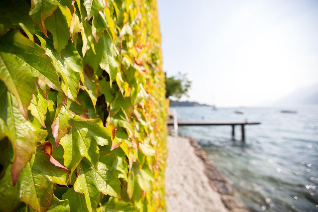 Hotel Vega Malcesine Dış mekan fotoğraf