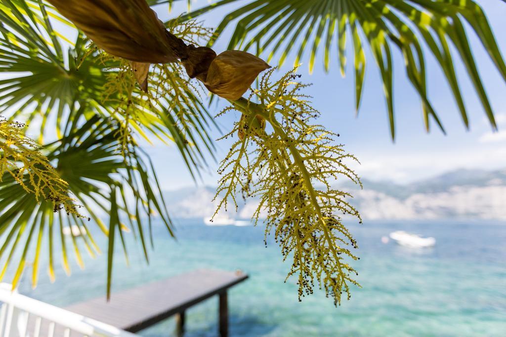 Hotel Vega Malcesine Dış mekan fotoğraf